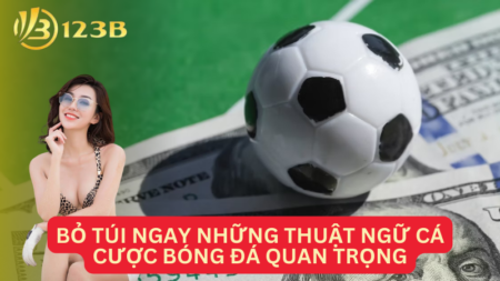 Bỏ Túi Ngay Những Thuật Ngữ Cá Cược Bóng Đá Quan Trọng