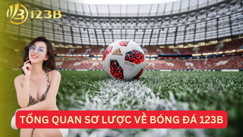 Tổng quan sơ lược về bóng đá 123B