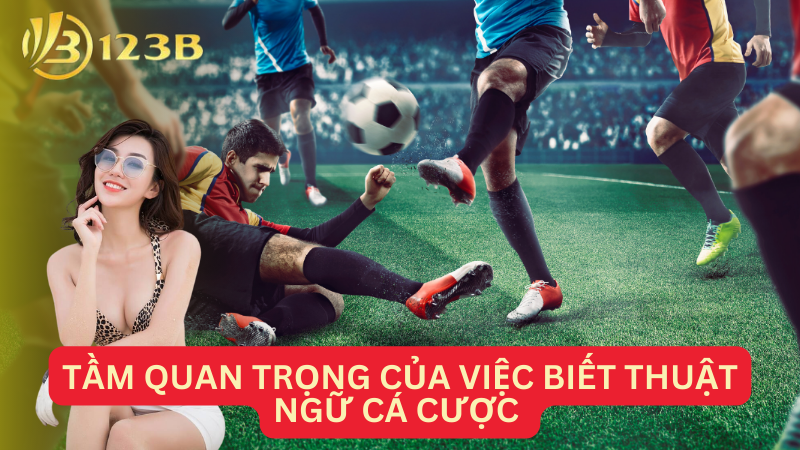 Tầm quan trọng của việc biết thuật ngữ cá cược 