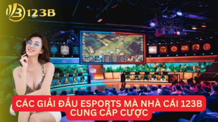 Tổng Hợp Các Giải Đấu Esports Mà Nhà Cái 123B Cung Cấp Cược Đỉnh Cao