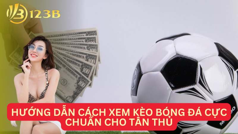 Hướng dẫn cách xem kèo bóng đá cực chuẩn cho tân thủ