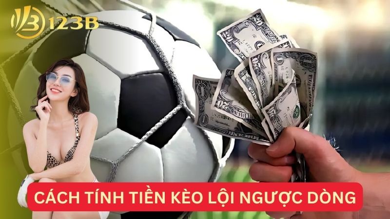 Cách tính tiền kèo lội ngược dòng